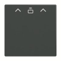 Busch-Jaeger Zent Sch Cardschalter RFID 1792 RFID-81