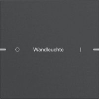 Gira Wippenset 1-fach Tastsens TS4 Anthr 5031928