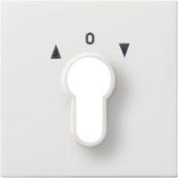 Gira Zentralplatte reinweiß-glänzend f.Schlüsselschalter 0664112