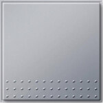 Gira Tast Taster Wechsler ohne Linse TX_44 Farbe al 013065