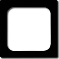 Busch-Jaeger Zentralscheibe anthrazit 50x50,für TAE-Einsatz 1746/10-81