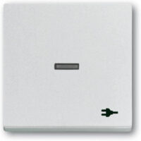 Busch-Jaeger Wippe mit Aufdruck Aluminium-Silber 1789 ST-83
