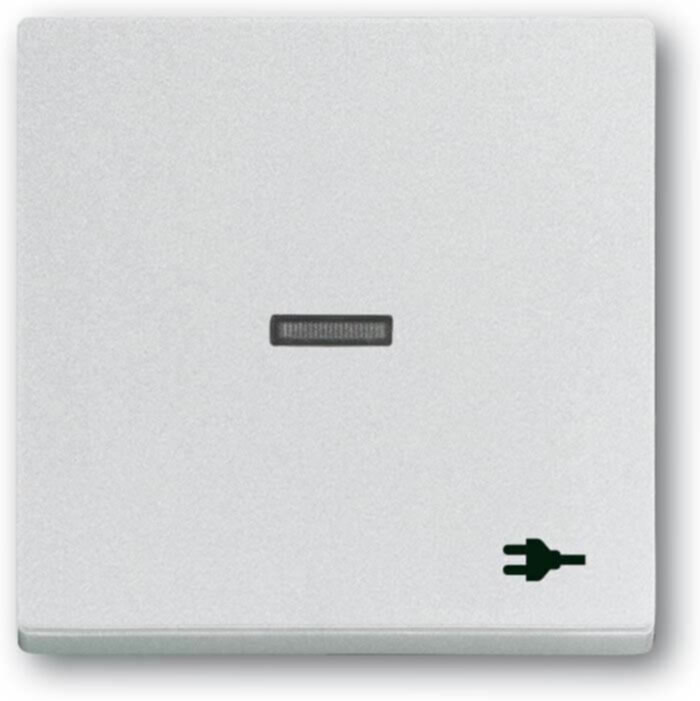 Busch-Jaeger Busch-Jaeger Wippe mit Aufdruck Aluminium-Silber 1789 ST-83