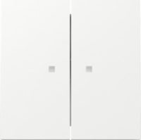 GIRA 363170 Kontrollwippe System Fläche 2 Fach Reinweiß glänzend