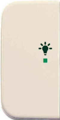 Busch-Jaeger Wippe 1-fach, Symbol Licht weiß 6231-21-212