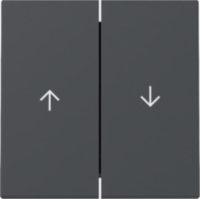 GIRA 329428 Wippe 2fach Pfeil System 55 Anthrazit