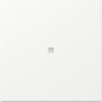 GIRA 329027 Wippe Kontrollfenster System 55 Reinweiß seidenmatt