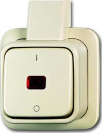 Busch-Jaeger Kontrollausschalter 2polig Aufputz 2601/2 SKAP