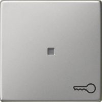 Gira Wippe Symbol Tür eds 0287600