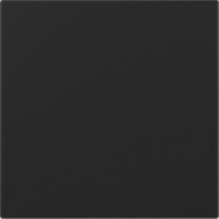 GIRA 3496005 Wippe gerade System 55 Schwarz matt (lackiert)