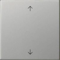 Gira Wippe 1-fach Edelstahl 5389600