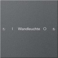 Gira Wippenset 1-fach beschr.Sys. 55 anthr 220128