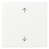 GIRA Wippe 1t Schalter reinweiß mt Pfeile System 55 361627