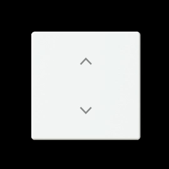 Busch-Jaeger Wippe Schalter/Dimmer studioweiß 6735-11-884 glänzend Pfeile