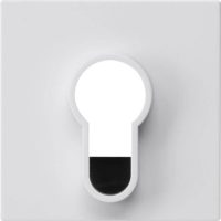 Gira Abdeckung Schlüsselschalter 866403