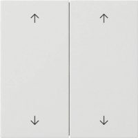 Gira Wippe 2-fach Reinweiß 5387112