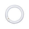 Osram L32W 827C G10q 29mm D:305mm FLH1 Ringform LLp LUMILUX Interna – Bild 2