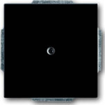Busch-Jaeger Zentralscheibe anthrazit Blindabdeckung, mit Tragring 1742-81