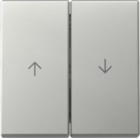 GIRA 3294600 Wippe 2fach Pfeil System 55 Edelstahl