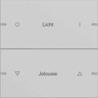 Gira Wippenset 2-fach Tastsens.4 TS4 Grau 5032915