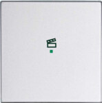 Busch-Jaeger Wippe 1-f Symbol Szene Aluminium-Silber 6233-10-83
