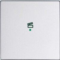 Busch-Jaeger Wippe 1-f Symbol Szene Aluminium-Silber 6233-10-83