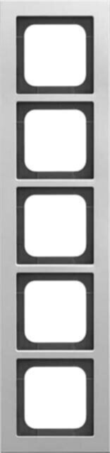 Busch-Jaeger Busch-Jaeger Abdeckrahmen titan 1725-276
