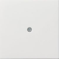 Gira Zentr.pl.Schnurabl. rws/gl 0274112