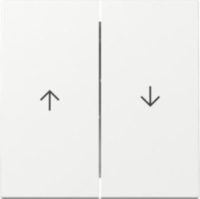 GIRA 329403 Wippe 2fach Pfeil System 55 Reinweiß glänzend