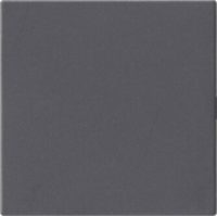 GIRA 810828 Blindabdeckung o.Tragring System 55 Anthrazit