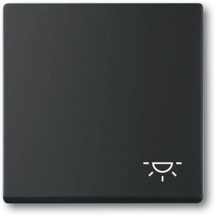 Busch-Jaeger Busch-Jaeger Wippe mit Aufdruck schwarz matt 2520 LI-885