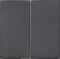 Gira Serienwippe anthrazit f. Tastschalter 091528