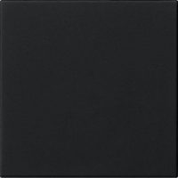 Gira Wippe 1-fach Schwarz 5372005