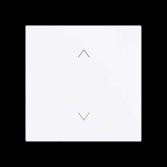 Busch-Jaeger Wippe Schalter/Dimmer weiß matt 6735-11-44M Pfeile