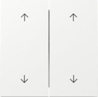 GIRA 329770 Jalousiewippe System Fläche 2-fach Reinweiß glänzend