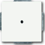 Busch-Jaeger Zentralscheibe weiß Blindabdeckung, mit Tragring 1742-884