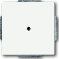 Busch-Jaeger Zentralscheibe weiß Blindabdeckung, mit Tragring 1742-884