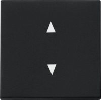 Gira Wippe schwarz Pfeilsymbole 8616005