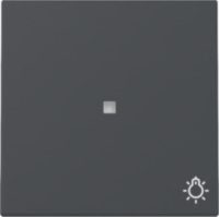 GIRA 367428 Wippe Kontrollfenster+Symbol Licht System 55 Anthrazit