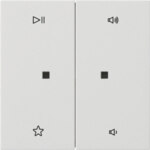 Gira Wippe 2-fach Audiostrg Reinweiß 5384112