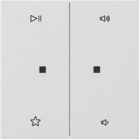 Gira Wippe 2fach Audiostrg Reinweiß 5384112