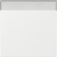 GIRA 329970 Wippe Beschriftungsfeld Reinweiß glänzend