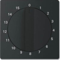 Busch-Jaeger Zentralscheibe schwarz/matt Bedienelement 1770-885-103