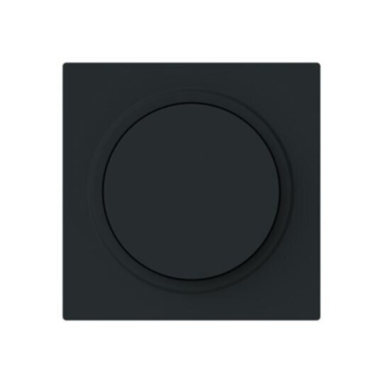 Busch-Jaeger Busch-Jaeger Zentralplatte Symbol Dimmer 6540-45M-102 schwarz matt