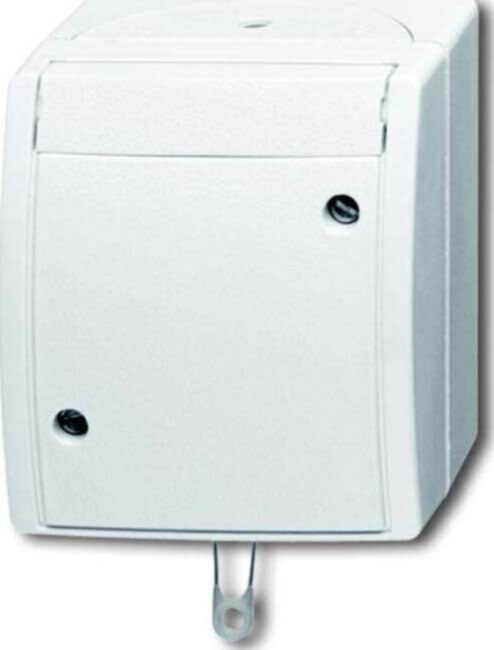 Busch-Jaeger Busch-Jaeger Zugwechselschalter 2610/6 W-54