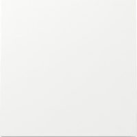 GIRA 329670 Wippe System Fläche 1 Fach Reinweiß glänzend