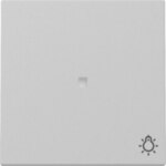 Gira 3674015 Wippe Kontrollfenster+Symb. Licht System 55 Grau matt (lackiert)