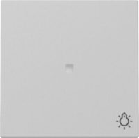 GIRA 3674015 Wippe Kontrollfenster+Symb. Licht System 55 Grau matt (lackiert)