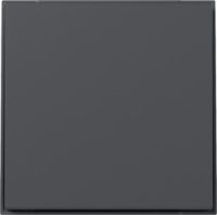 GIRA 349667 Wippe gerade TX_44 Anthrazit