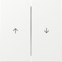 GIRA 329470 Wippe 2 Fach Reinweiß glänzend